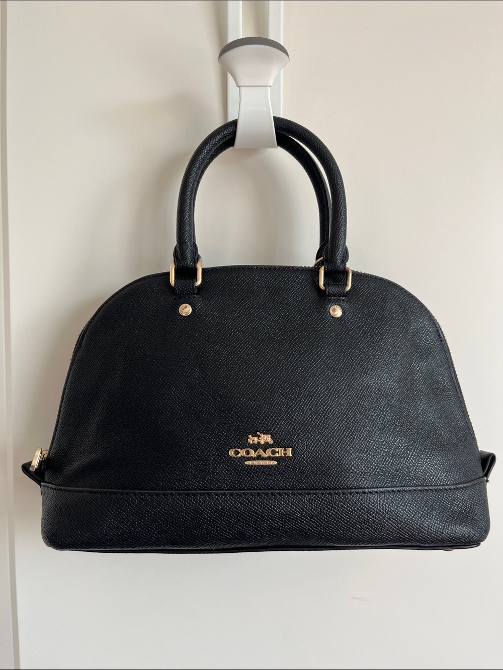Coach Mini Sierra Dome Satchel Leather Crossbody (Style F57555)